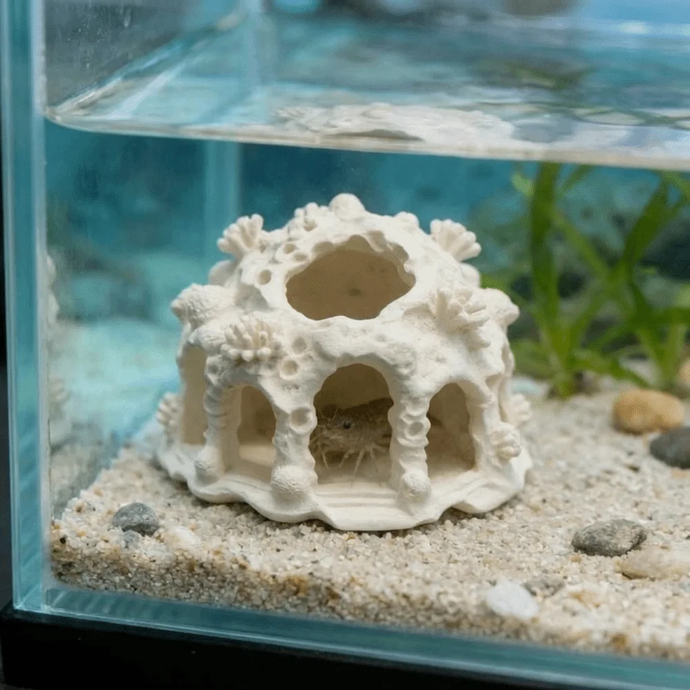 Plastic Aquarium Hideaway Cave Natural Looking Textured Design Coral Shelter House Safe Resting Fish Shrimp Breeding Shelter
Plastic Aquarium Hideaway Cave Natural Looking Textured Design Coral Shelter House Safe Resting Fish Shrimp Breeding Shelter
