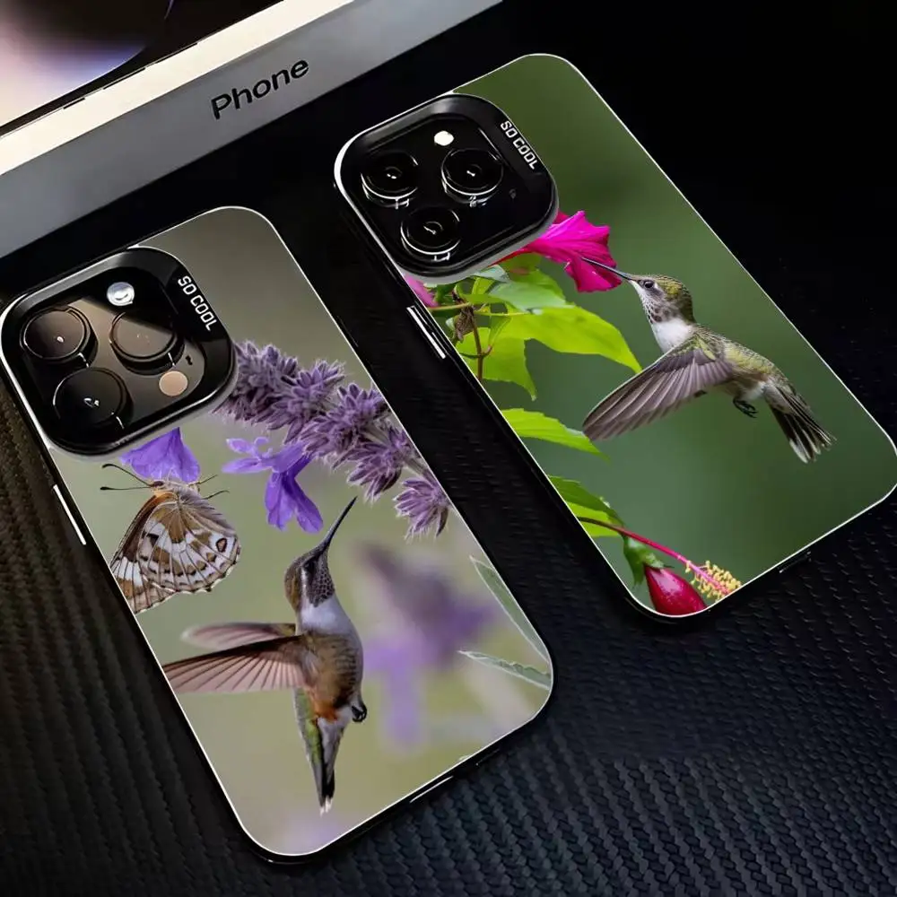 Pretty Animal Hummingbird Phone Case For iPhone 16,15,14,13,12,11,Mini,Pro,MAX Black Matte Shockproof Cover
Pretty Animal Hummingbird Phone Case For iPhone 16,15,14,13,12,11,Mini,Pro,MAX Black Matte Shockproof Cover