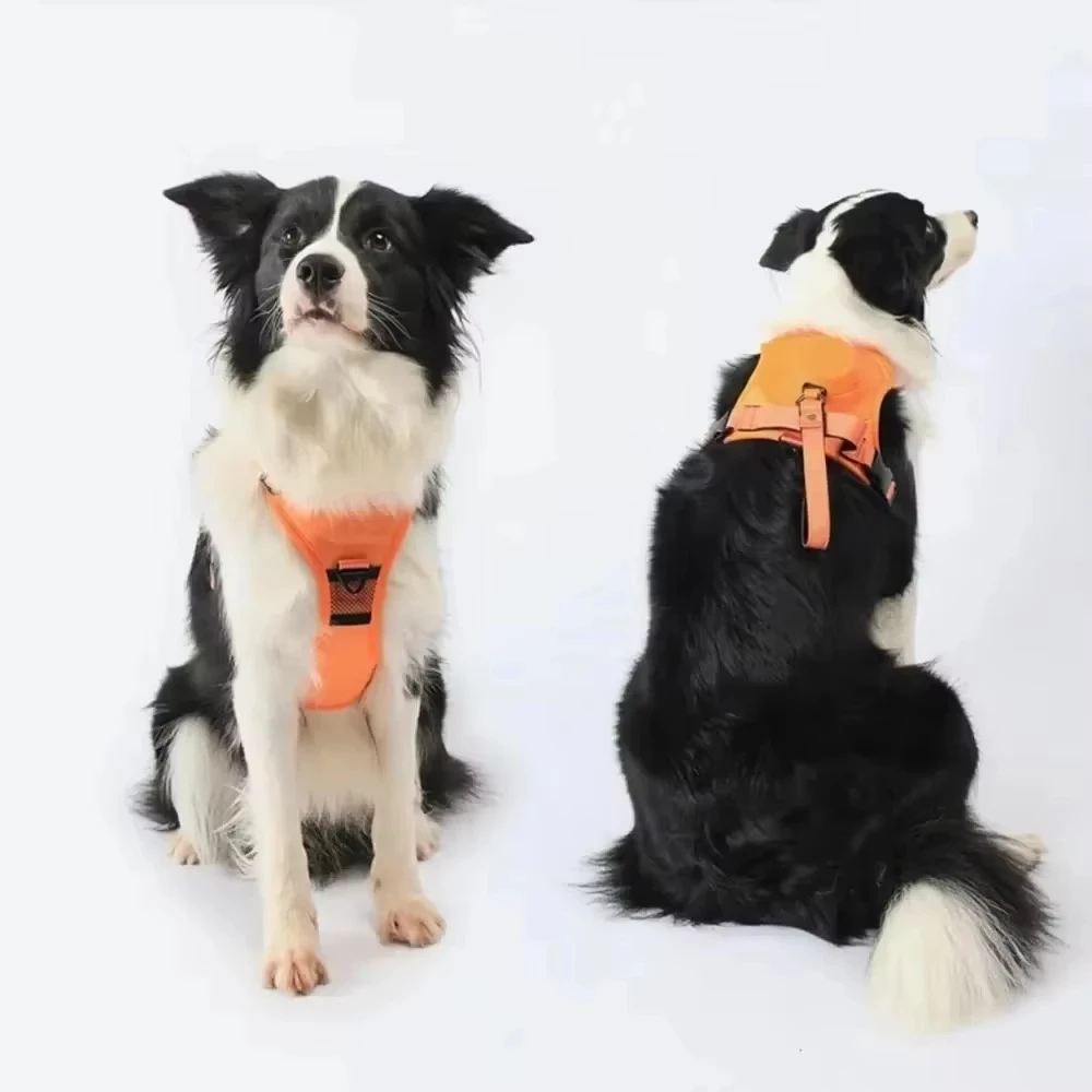 No Pull Dog Harness with Integrated Retractable Leash Adjustable Breathable Pet Vest for Medium Large Dogs Outdoor Walking
No Pull Dog Harness with Integrated Retractable Leash Adjustable Breathable Pet Vest for Medium Large Dogs Outdoor Walking