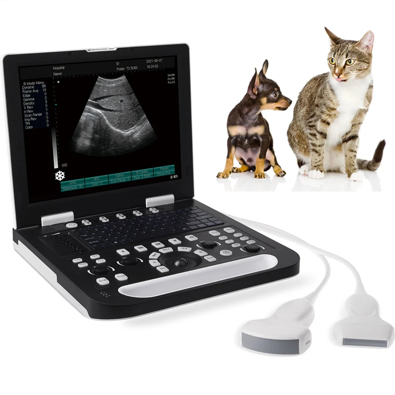 Animal Use 15 Inches LED Laptop Ultrasound Scanner Pregnancy Notebook Machine for Dog Cat Pig Cattle Sheep Veterinary Instrument
Animal Use 15 Inches LED Laptop Ultrasound Scanner Pregnancy Notebook Machine for Dog Cat Pig Cattle Sheep Veterinary Instrument