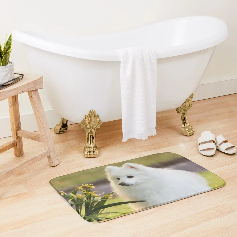 Sunlit Spitz Bath Mat Kit Bathroom Carpet Anti Slip House Entrance Bathtub Carpet Mat
Sunlit Spitz Bath Mat Kit Bathroom Carpet Anti Slip House Entrance Bathtub Carpet Mat