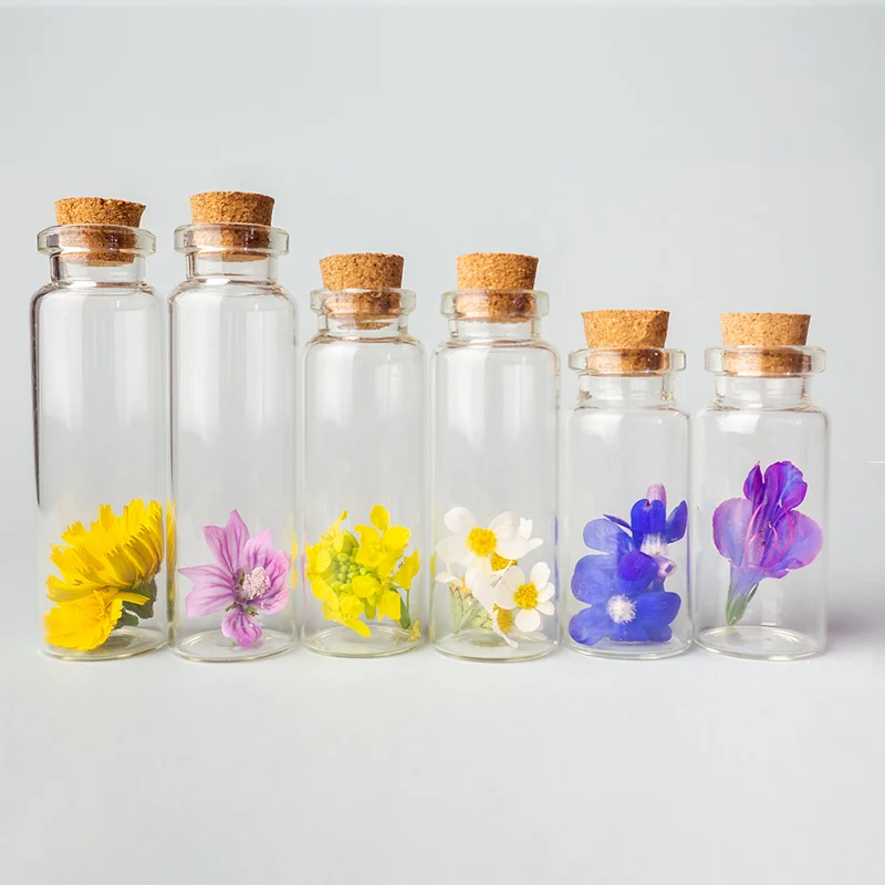 5Pcs Mini Small Glass Bottles With Clear Cork Stopper Christmas Wish Bottles Vials For Holiday Wedding Home Decoration Gifts
5Pcs Mini Small Glass Bottles With Clear Cork Stopper Christmas Wish Bottles Vials For Holiday Wedding Home Decoration Gifts