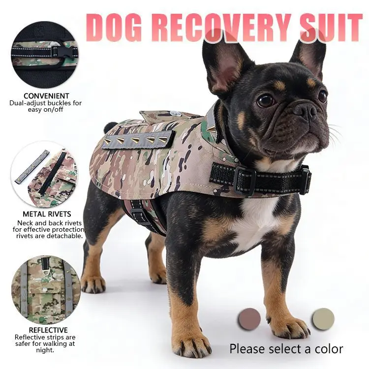 Anti-Bite Dog Suit with Harness, Thick Cotton Padded Winter Coat, Anti-Scratch Protective Clothing for Small Medium Dogs
Anti-Bite Dog Suit with Harness, Thick Cotton Padded Winter Coat, Anti-Scratch Protective Clothing for Small Medium Dogs