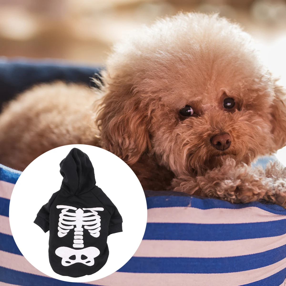 Glow Skull Pattern Dog Costume Halloween Pet Clothes Bone Design For Small Pets Durable Lightweight Machine Washable
Glow Skull Pattern Dog Costume Halloween Pet Clothes Bone Design For Small Pets Durable Lightweight Machine Washable