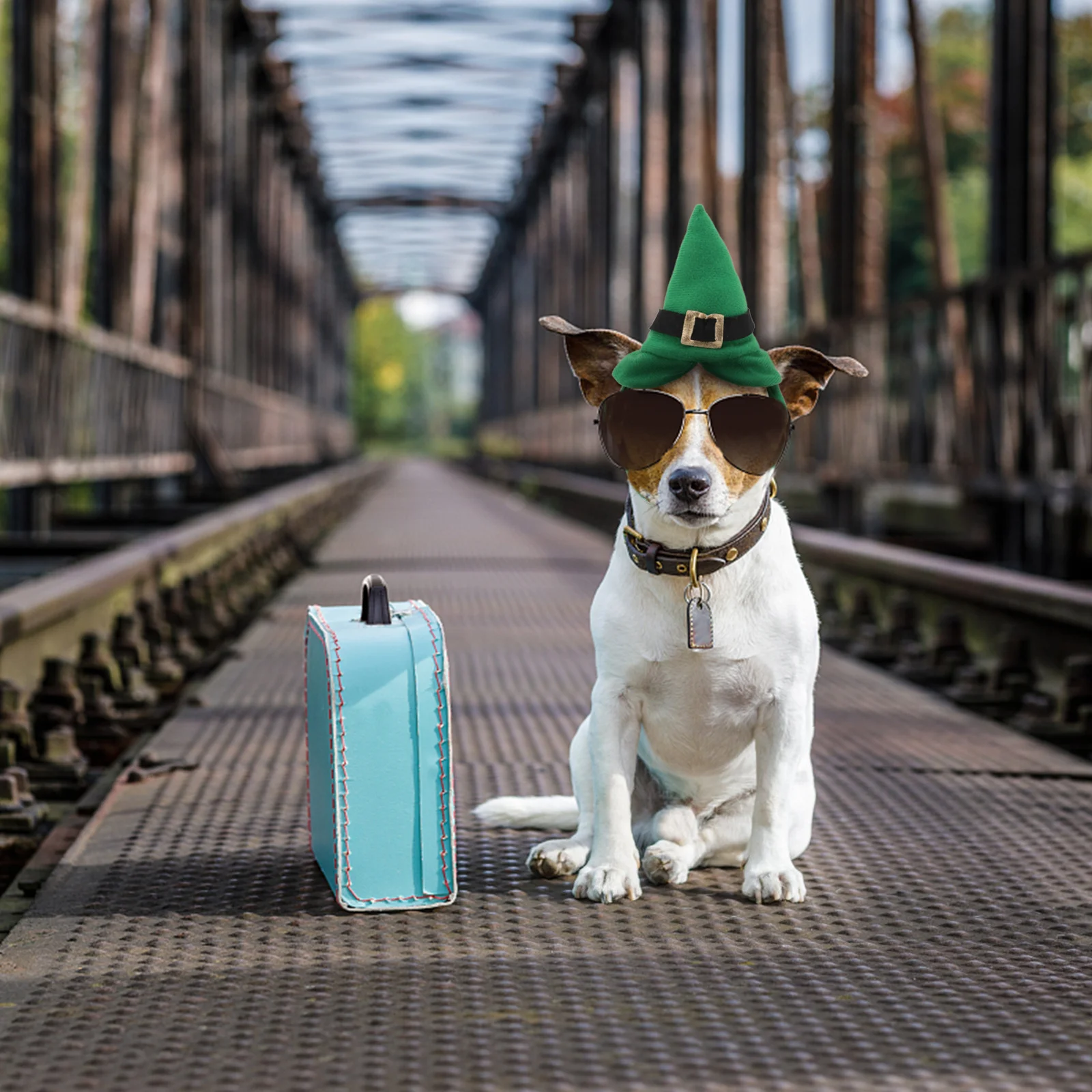 Green Pet Hat for Cats Small Dogs Adjustable Comfortable Party Wear Birthday Wedding Photo Shoot Costume Accessory St Patricks
Green Pet Hat for Cats Small Dogs Adjustable Comfortable Party Wear Birthday Wedding Photo Shoot Costume Accessory St Patricks