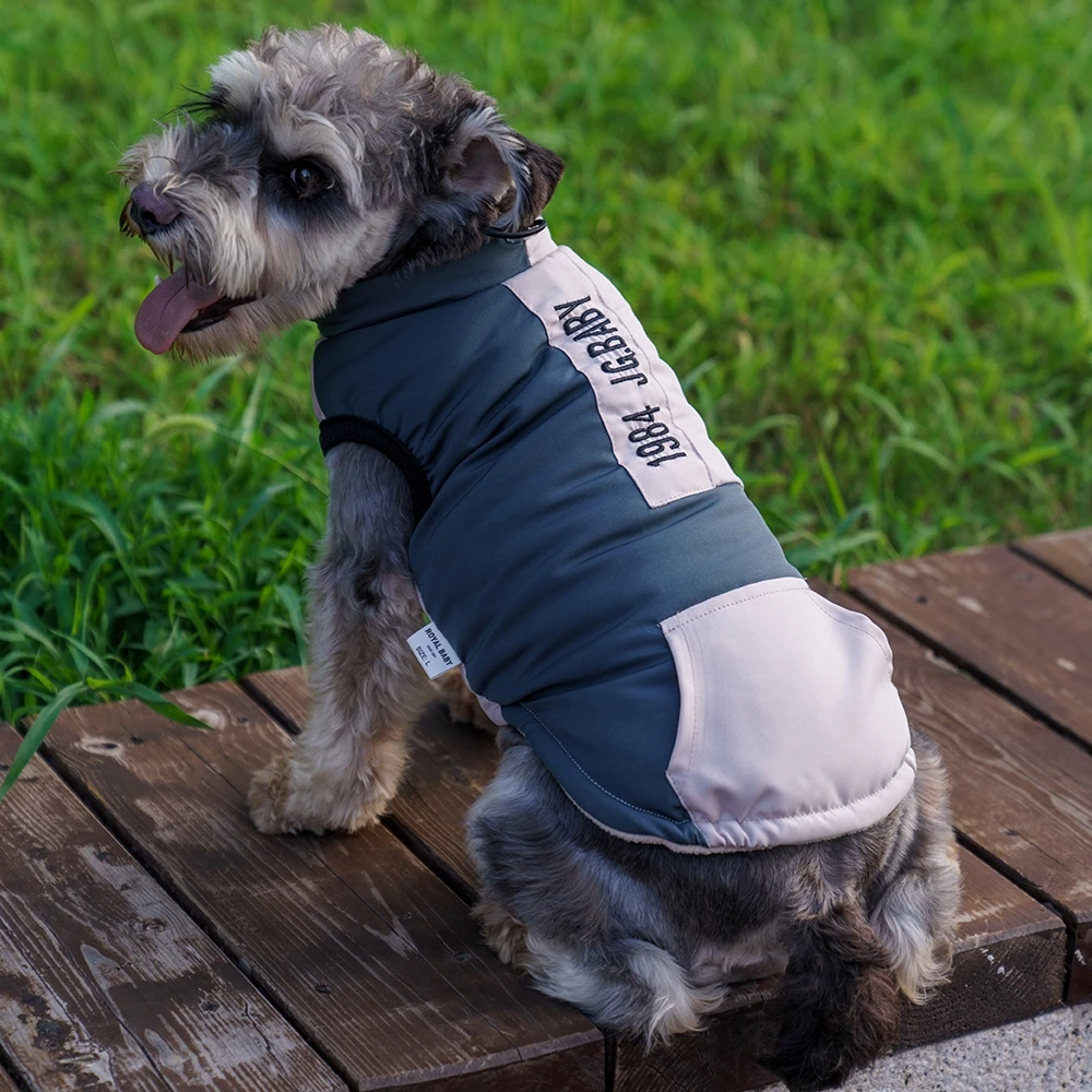 Winter Dog Coat Jacket Waterproof Warm Dog Clothes for Small Dogs Padded Clothing Chihuahua French Bulldog Outfits Pet Supplies
Winter Dog Coat Jacket Waterproof Warm Dog Clothes for Small Dogs Padded Clothing Chihuahua French Bulldog Outfits Pet Supplies