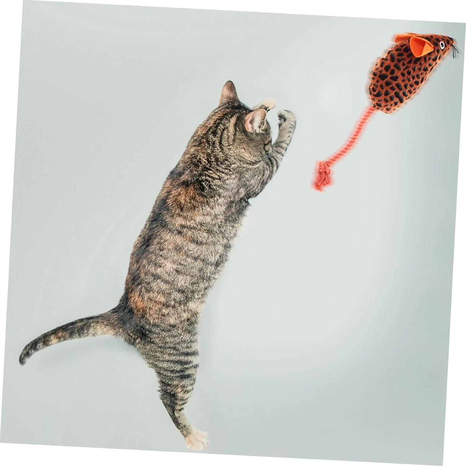 Soft and Adorable Interactive Mouse-Shaped Plush Cat Toy - Perfect Companion for Playful Cats and Kittens - Provides Hours of In
Soft and Adorable Interactive Mouse-Shaped Plush Cat Toy - Perfect Companion for Playful Cats and Kittens - Provides Hours of In