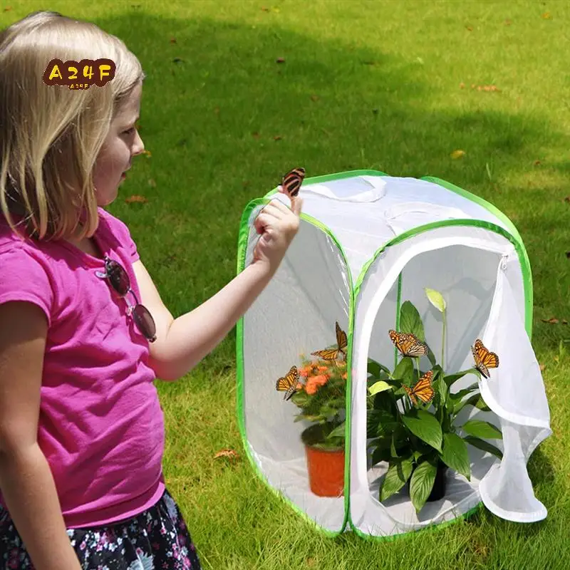 A24F-2-Pack Insect And Butterfly Habitat Cage Terrarium -Up Butterfly Enclosure (2 X 15.7 X 15.7 X 23.6Inch)
A24F-2-Pack Insect And Butterfly Habitat Cage Terrarium -Up Butterfly Enclosure (2 X 15.7 X 15.7 X 23.6Inch)