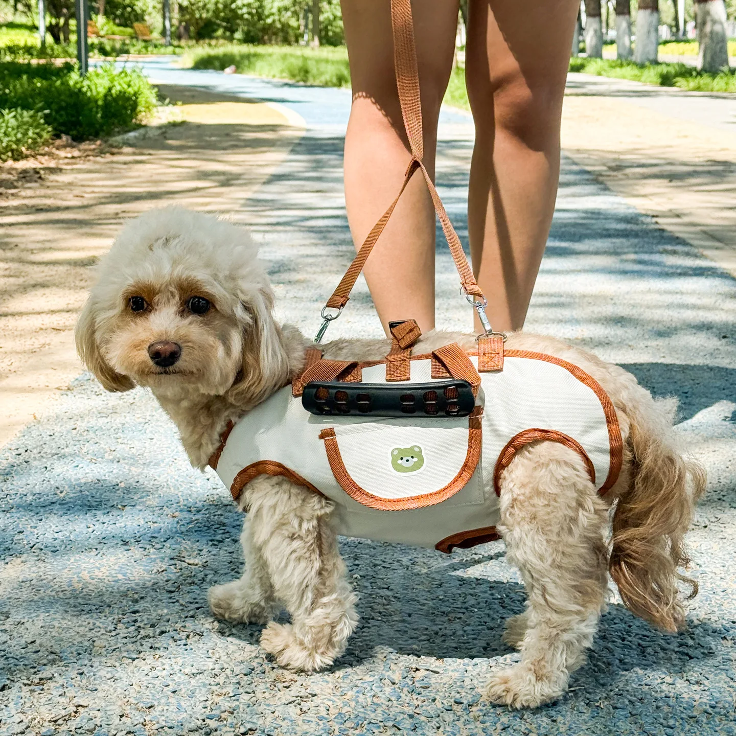 Dog backpack Pet bag Dog walking bag Handbag pet pets Puppy shoulder corgi Tote bag dog corgi teddy solid bag For dog for travel
Dog backpack Pet bag Dog walking bag Handbag pet pets Puppy shoulder corgi Tote bag dog corgi teddy solid bag For dog for travel