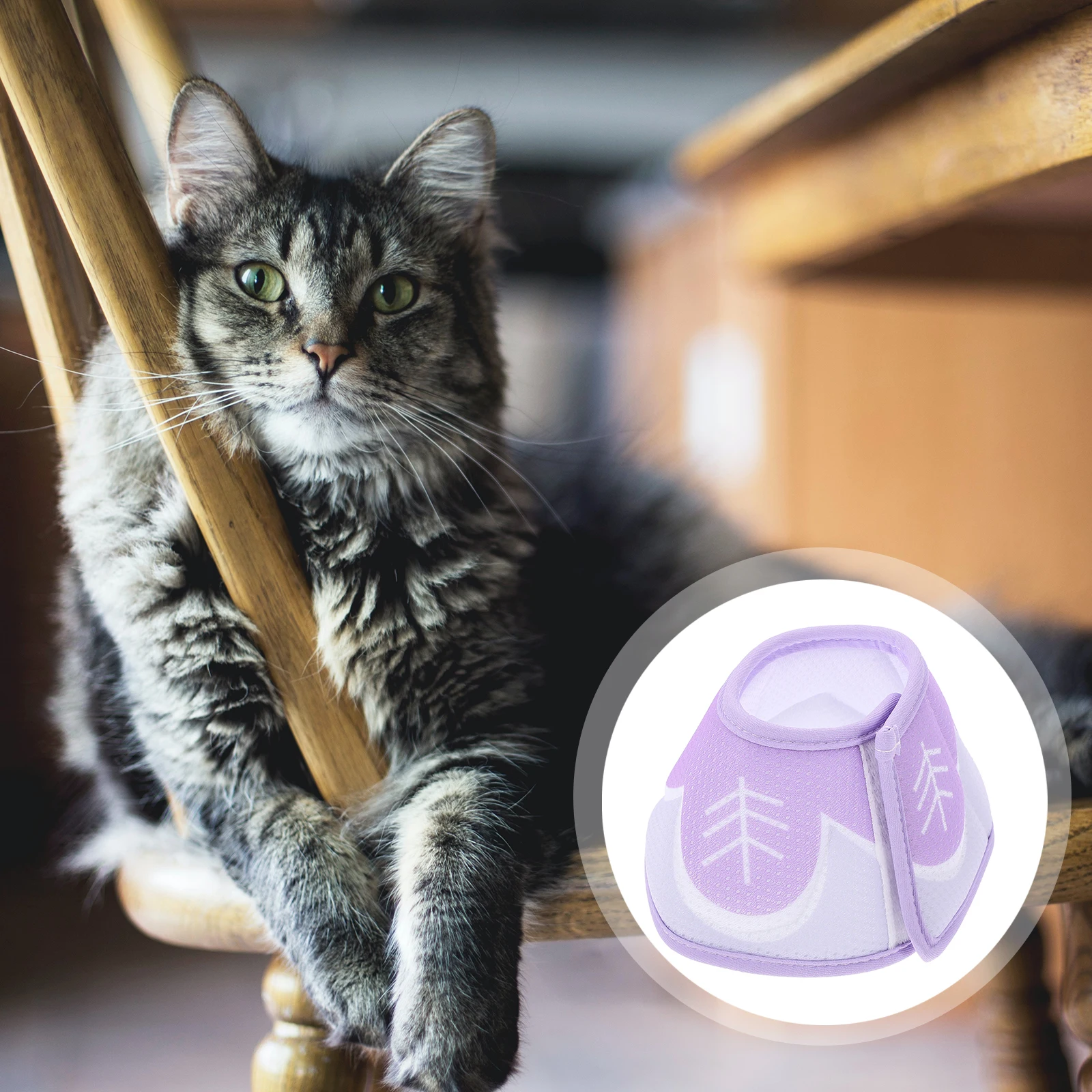 Breathable Cat Recovery Cones Adjustable Dog Collar S Size Lilac Purple Soft Material Round Edges Prevent Licking Wounds Promote
Breathable Cat Recovery Cones Adjustable Dog Collar S Size Lilac Purple Soft Material Round Edges Prevent Licking Wounds Promote