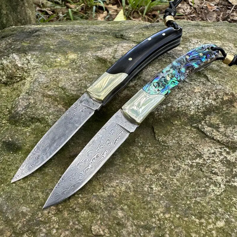 Damascus Steel Folding Knife Set - Two Pieces with Different Handle Colors Sharp Outdoor Camping Tool for Adventure Enthusiasts
Damascus Steel Folding Knife Set - Two Pieces with Different Handle Colors Sharp Outdoor Camping Tool for Adventure Enthusiasts