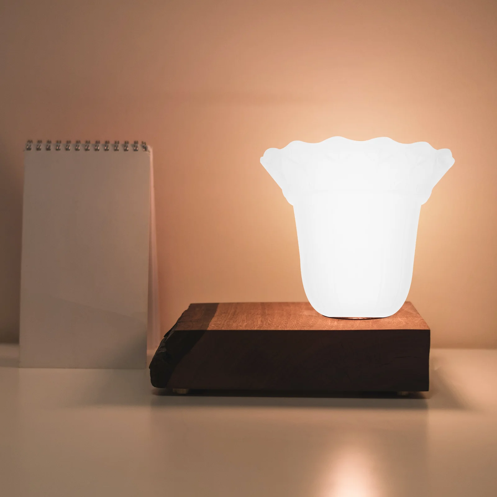 1Pcs Glass Lamp Shade Lamp Accessory for Household Light Fixtures Warm Romantic Atmosphere Non-Dazzling Eye-Protection Design
1Pcs Glass Lamp Shade Lamp Accessory for Household Light Fixtures Warm Romantic Atmosphere Non-Dazzling Eye-Protection Design