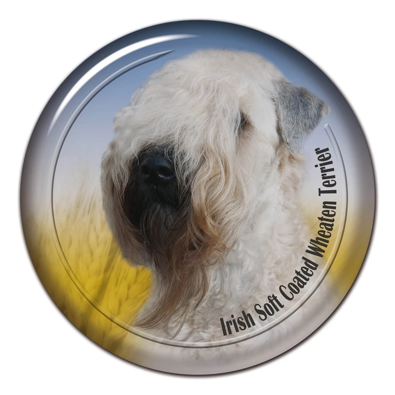 S6SC12# Number 199-216 Self-adhesive Decal Pet Dog Car Sticker Waterproof Auto Decors on Bumper Rear Window Laptop
S6SC12# Number 199-216 Self-adhesive Decal Pet Dog Car Sticker Waterproof Auto Decors on Bumper Rear Window Laptop