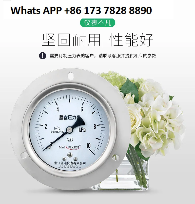 Axial 304 Stainless Steel Diaphragm Pressure Gauge YE100ZTBF Pressure Gauge
Axial 304 Stainless Steel Diaphragm Pressure Gauge YE100ZTBF Pressure Gauge