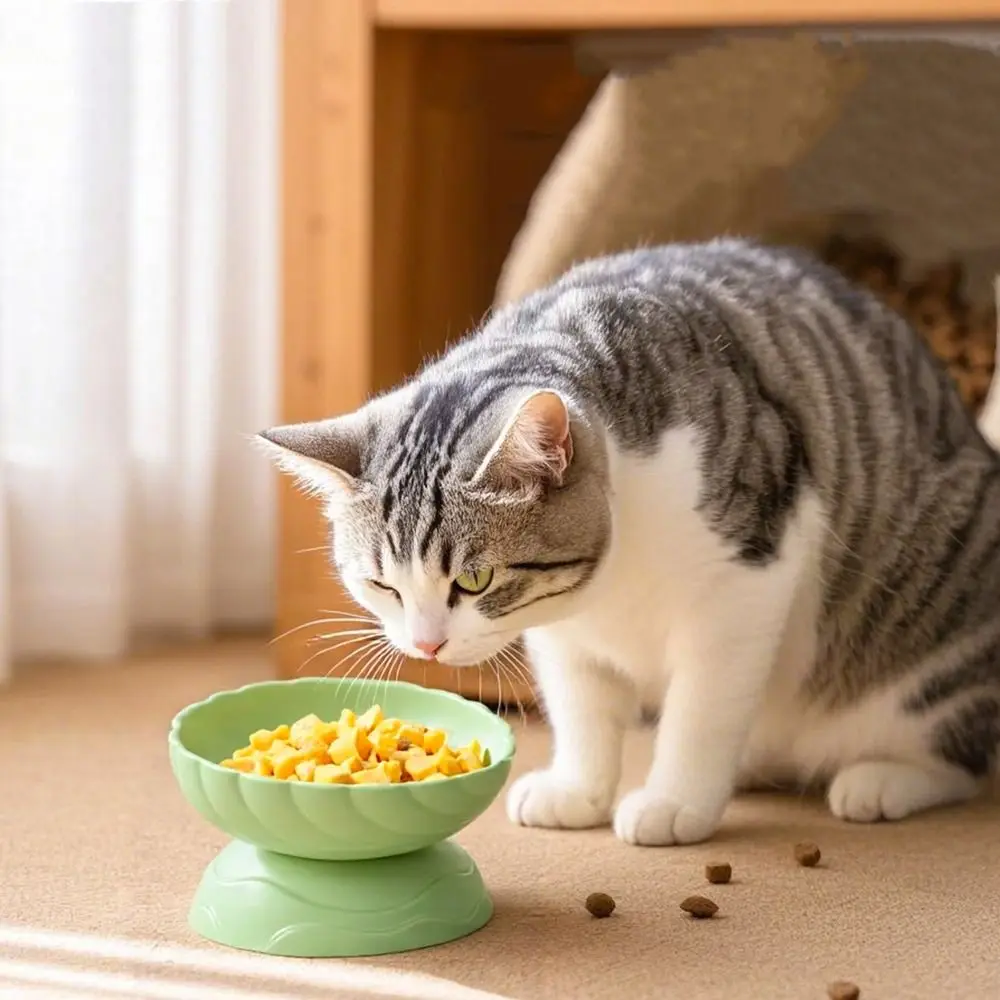 Adjustable Cat Bowl Anti Tipping Slanted Mouth Dog Food Feeding Basin Large Capacity Non-slip Pet High Foot Bowl Neck Protection
Adjustable Cat Bowl Anti Tipping Slanted Mouth Dog Food Feeding Basin Large Capacity Non-slip Pet High Foot Bowl Neck Protection