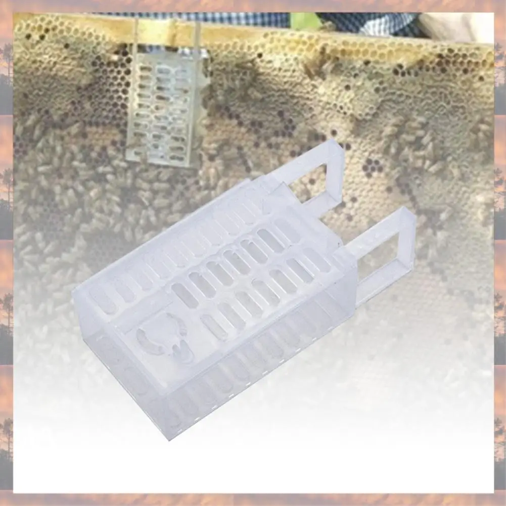 2025 Trend Beekeeping Varroa Control Tools Bee Queen Cage For Against-Varoa Brood Breaks Control Varroa Beehive Supplies
2025 Trend Beekeeping Varroa Control Tools Bee Queen Cage For Against-Varoa Brood Breaks Control Varroa Beehive Supplies