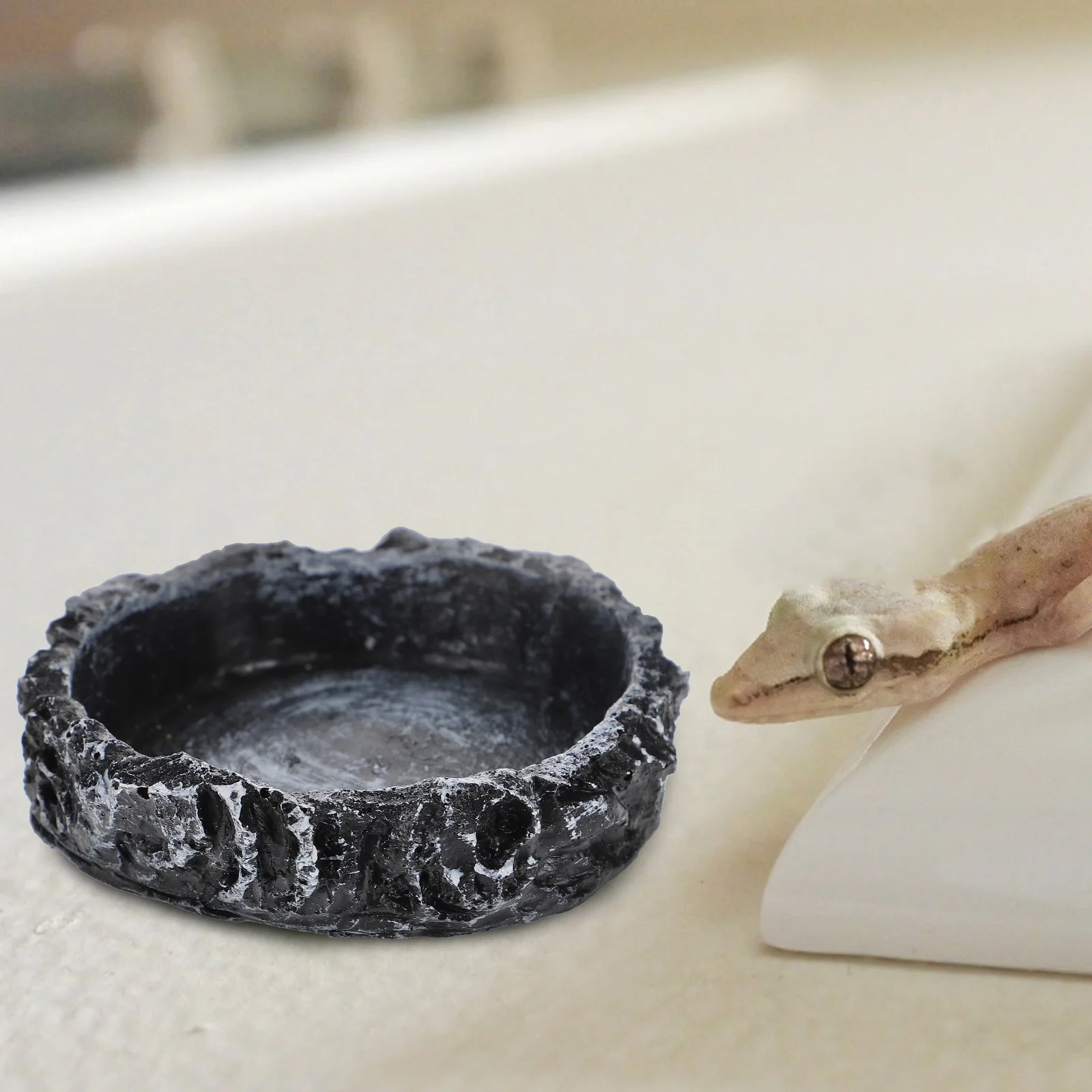 Tortoise Water Small Round Basin for Reptile Food Container Lizard Snake Bowls Tortoise Food Container Pet Feeder
Tortoise Water Small Round Basin for Reptile Food Container Lizard Snake Bowls Tortoise Food Container Pet Feeder