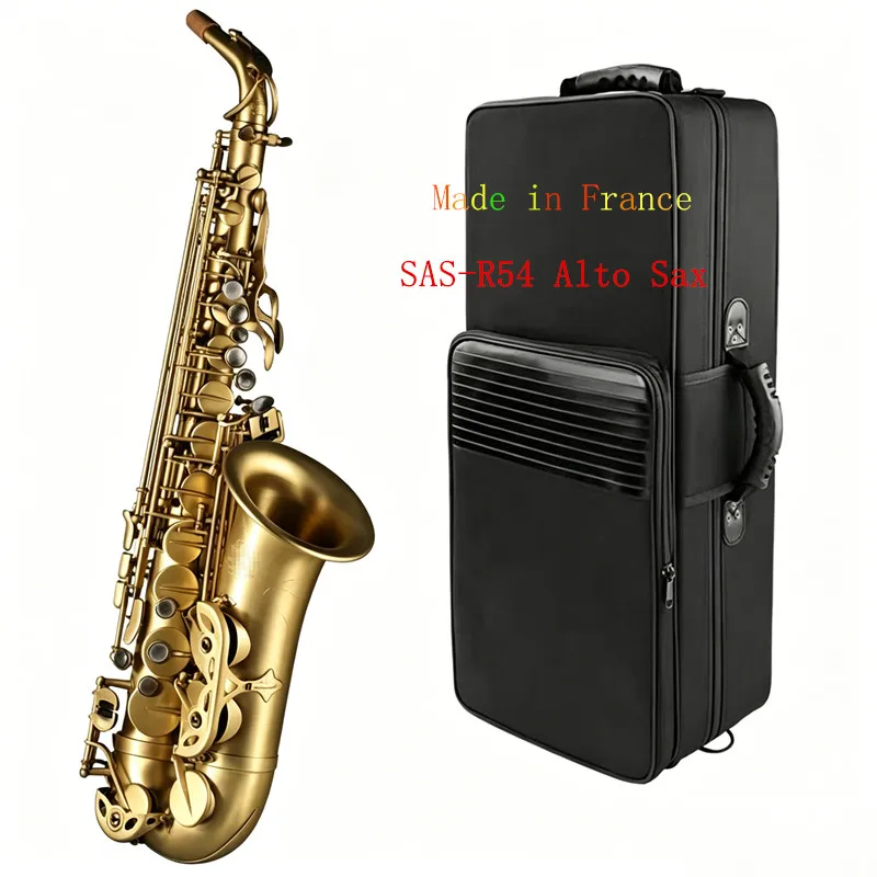 Hot Selling French SAS-R54 Alto Saxophone, Eb Key Brushed Antique Finish Woodwind Instrument with Full Accessories
Hot Selling French SAS-R54 Alto Saxophone, Eb Key Brushed Antique Finish Woodwind Instrument with Full Accessories