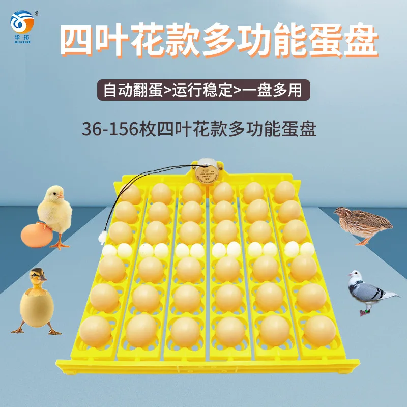 Four Leaf Flower Fully Automatic Egg Pan Small 36 Egg Incubator Egg Holder 156 Bird Egg Pan with Motor
Four Leaf Flower Fully Automatic Egg Pan Small 36 Egg Incubator Egg Holder 156 Bird Egg Pan with Motor
