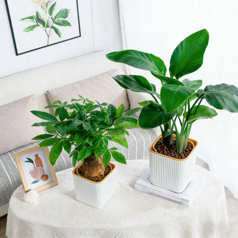 Self-Watering Flower Pot Nordic Style Lazy Person Special Vertical Stripe Square Thickened Plastic Resin Indoor Balcony Green Pl
Self-Watering Flower Pot Nordic Style Lazy Person Special Vertical Stripe Square Thickened Plastic Resin Indoor Balcony Green Pl