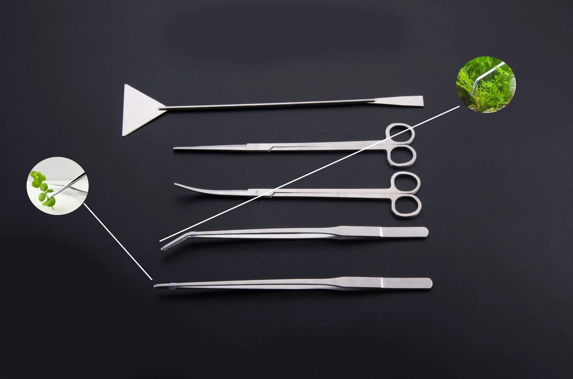 5Pcs Aquarium Cleaning Tool Set – Scissors, Tweezers, Gravel Leveler, Glass Cleaner for Fish Tank Plant Glass Maintenance
5Pcs Aquarium Cleaning Tool Set – Scissors, Tweezers, Gravel Leveler, Glass Cleaner for Fish Tank Plant Glass Maintenance