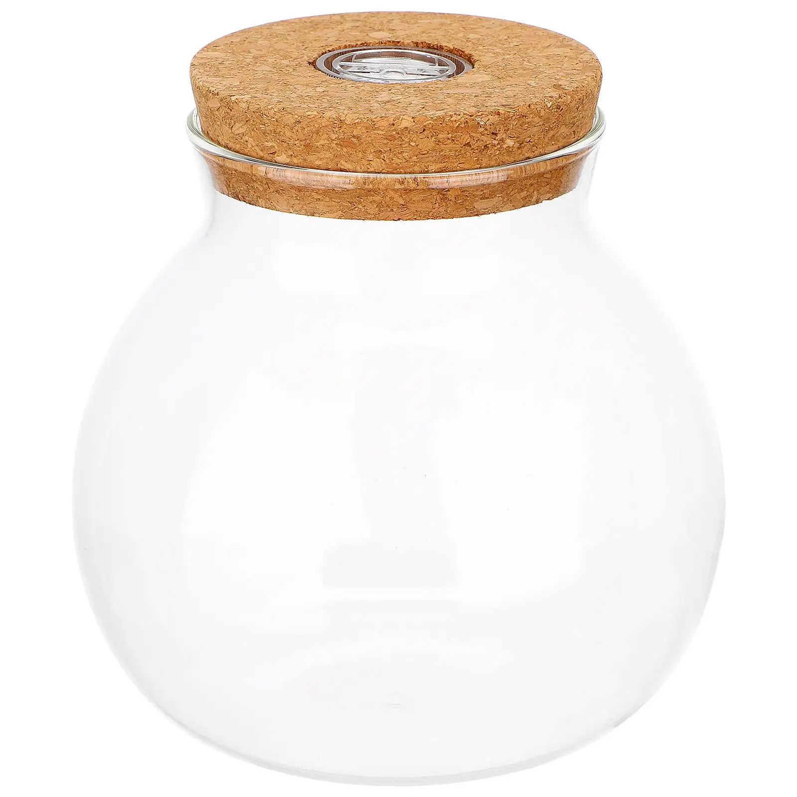 Tank LED Light Ecological Bottle Fish Tanks Aquarium Decor White Wood Artificial Plants
Tank LED Light Ecological Bottle Fish Tanks Aquarium Decor White Wood Artificial Plants