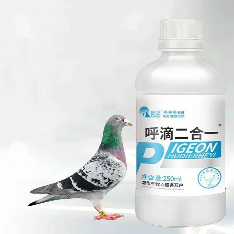 250ml Pigeon Trichomoniasis & Respiratory Care Metronidazole & Ofloxacin Dual-Action for Racing Pigeon medicine
250ml Pigeon Trichomoniasis & Respiratory Care Metronidazole & Ofloxacin Dual-Action for Racing Pigeon medicine