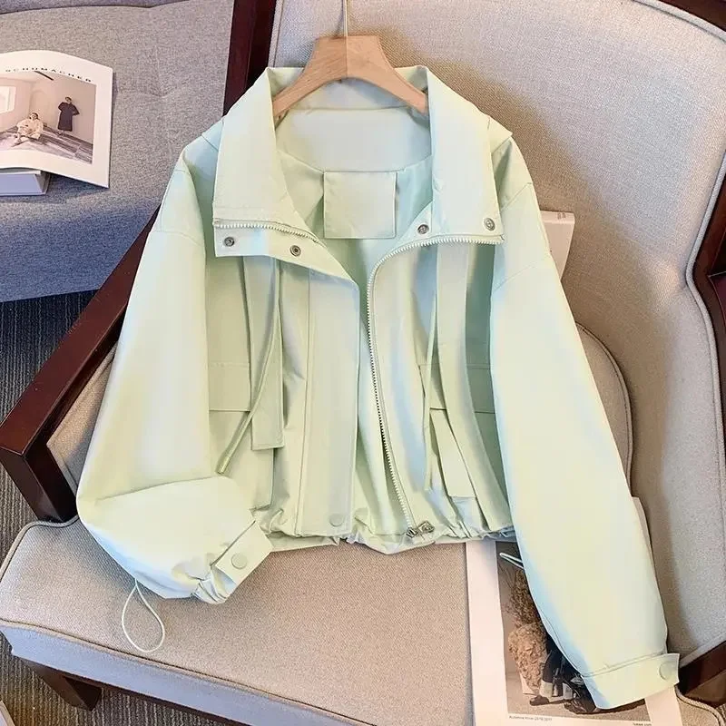Short Hooded Jacket For Women's Spring and Autumn 2025 New Spring Super Beautiful Loose Casual Thin Work Jacket top Solid Color
Short Hooded Jacket For Women's Spring and Autumn 2025 New Spring Super Beautiful Loose Casual Thin Work Jacket top Solid Color