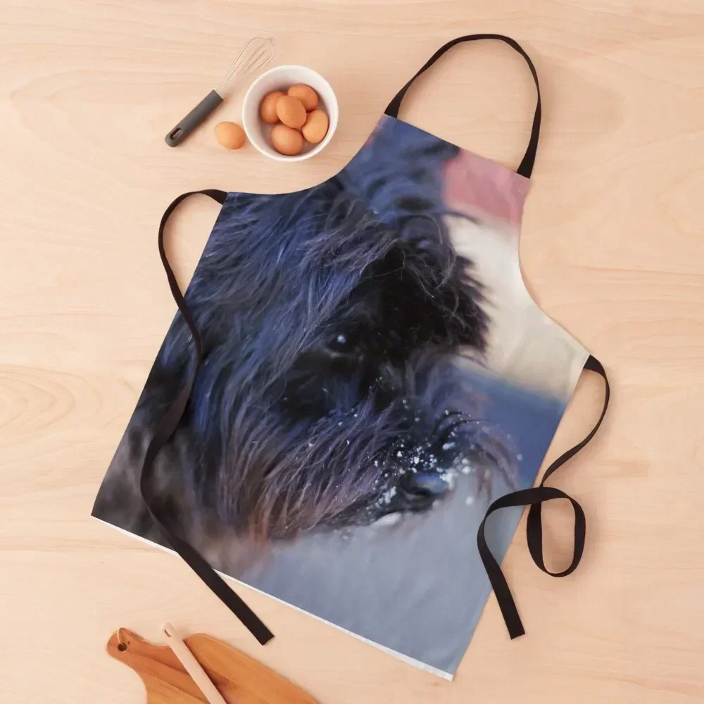 Cute carrier terrier Dog with Snow on Nose Closeup Furry Animal Apron Hairdressing Hairdresser Accessories chef for man Apron
Cute carrier terrier Dog with Snow on Nose Closeup Furry Animal Apron Hairdressing Hairdresser Accessories chef for man Apron
