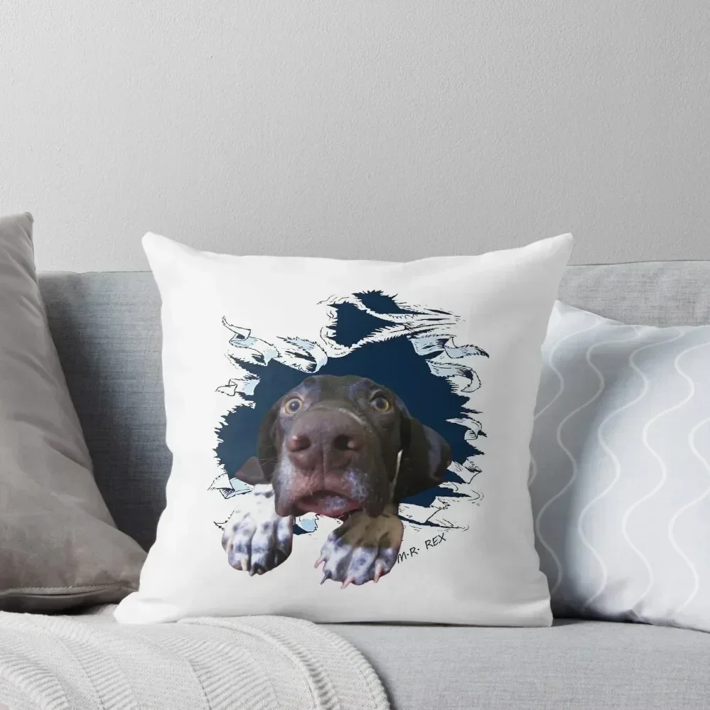 GSP Funny face Throw Pillow christmas pillowcases Custom Cushion Photo Cushions For Sofa Cushions For Decorative Sofa pillow
GSP Funny face Throw Pillow christmas pillowcases Custom Cushion Photo Cushions For Sofa Cushions For Decorative Sofa pillow