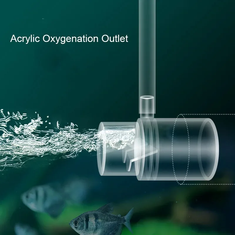 D5 Acrylic Clear Aquarium Fish Tank Oxygen-Enhancing Water Pump Filter Outlet Nozzle Increasing Oxygen Air Aquarium Accessories
D5 Acrylic Clear Aquarium Fish Tank Oxygen-Enhancing Water Pump Filter Outlet Nozzle Increasing Oxygen Air Aquarium Accessories
