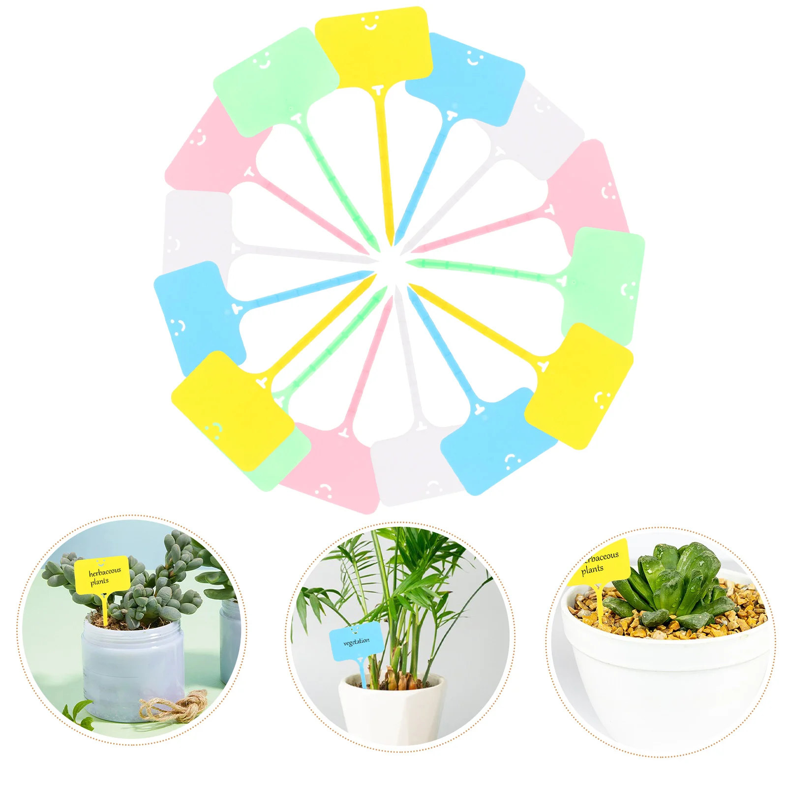 100 Pcs Color Coded Plant Tags Garden Stakes Plant Markers Waterproof Raised Foam Decorative Stakes Nursery Decor
100 Pcs Color Coded Plant Tags Garden Stakes Plant Markers Waterproof Raised Foam Decorative Stakes Nursery Decor