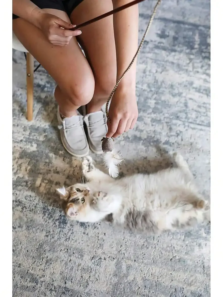 Interactive Feather Wand Cat Toy With Chirping Sound For Mental Stimulation And Exercise
Interactive Feather Wand Cat Toy With Chirping Sound For Mental Stimulation And Exercise