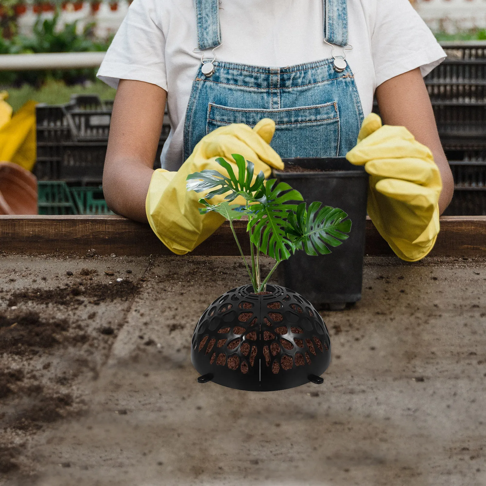1 set 1 Set Plastic Hollowed Floral Cap Detachable Plant Soil Air Vent Cover Breathable Plants Soil Cover Part For Orchids Water
1 set 1 Set Plastic Hollowed Floral Cap Detachable Plant Soil Air Vent Cover Breathable Plants Soil Cover Part For Orchids Water