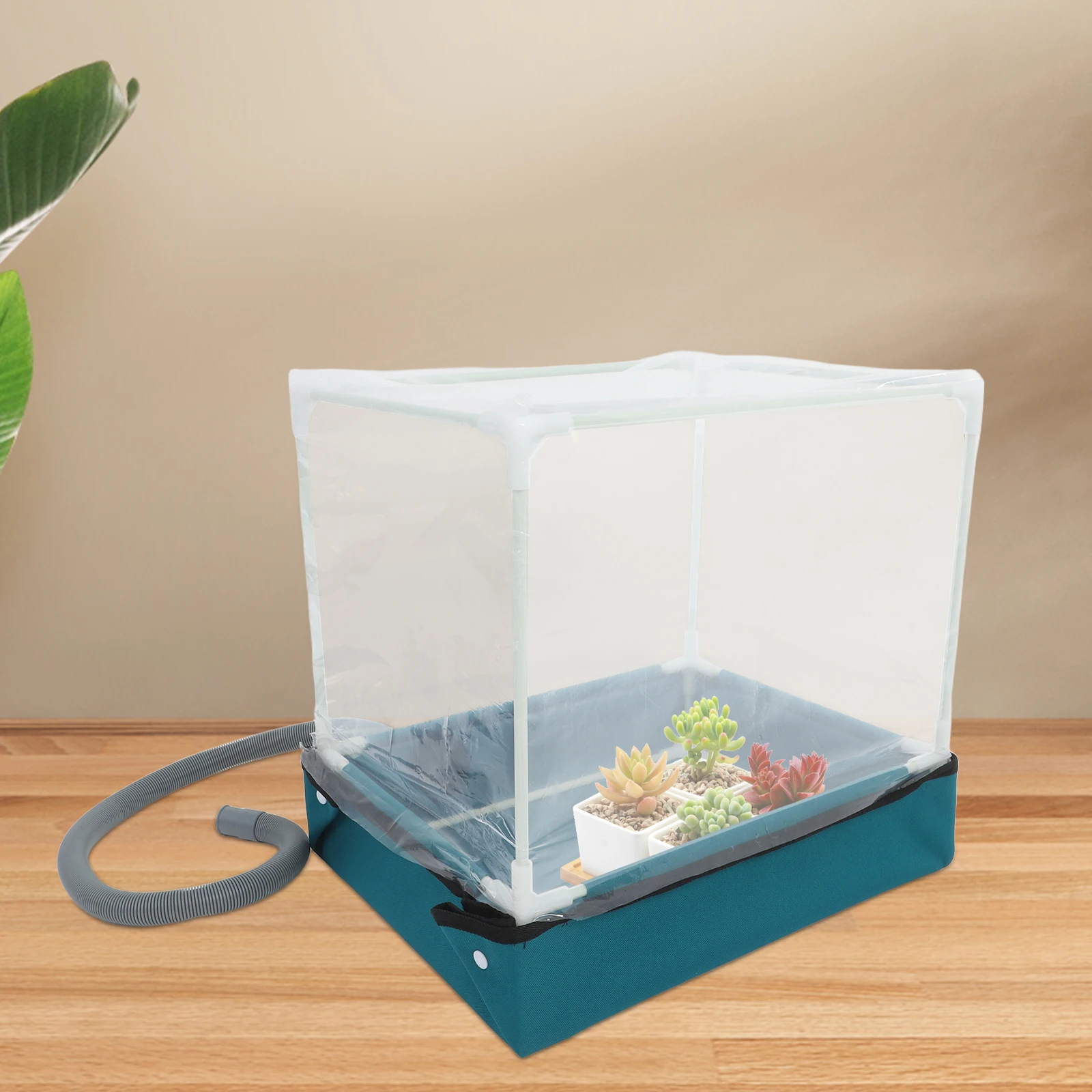 1pc Mini Greenhouse Succulent Planting Box Weather Protection Foldable Water Base Drainage Small Indoor Greenhouse
1pc Mini Greenhouse Succulent Planting Box Weather Protection Foldable Water Base Drainage Small Indoor Greenhouse