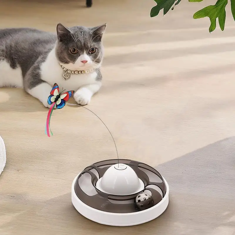 Бабочка, кошка, игрушка, безопасная детская игрушка с перьями, котята, автоматические котята, игрушки, детская игрушка с круглым дизайном
Бабочка, кошка, игрушка, безопасная детская игрушка с перьями, котята, автоматические котята, игрушки, детская игрушка с круглым дизайном