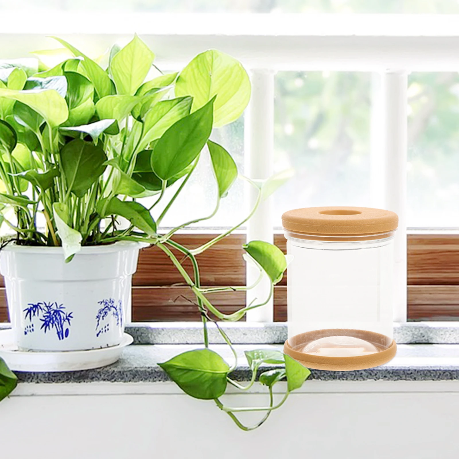 4 Pcs Orchid Pots Hydroponic Flower Transparent Nursery for Plants Indoor The Pet Houseplant
4 Pcs Orchid Pots Hydroponic Flower Transparent Nursery for Plants Indoor The Pet Houseplant