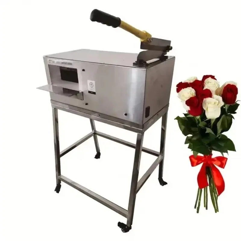 Desktop Flower Leaf Thorn Remover Machine with Cutter for Flower Shops Rose Leaf Removing Machine
Desktop Flower Leaf Thorn Remover Machine with Cutter for Flower Shops Rose Leaf Removing Machine
