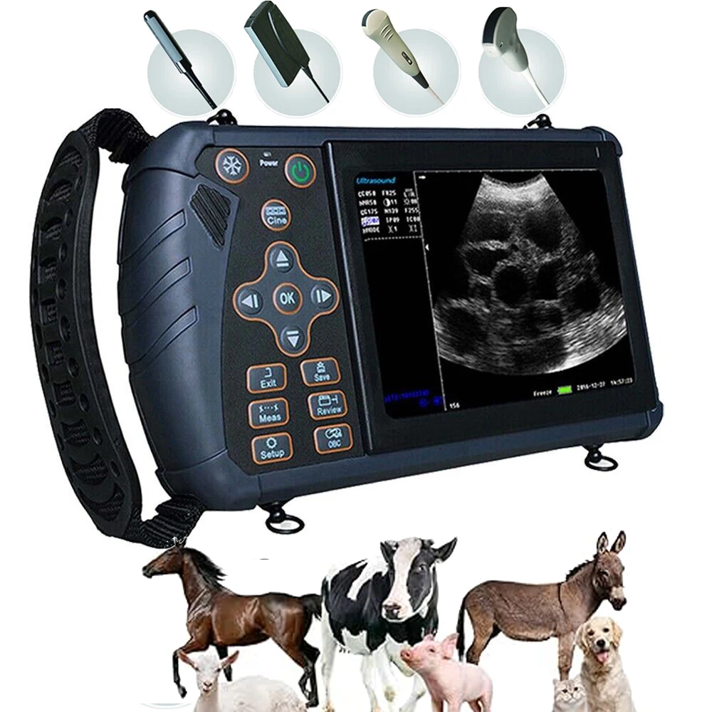 Veterinary Ultrasound Table Sonoscape Veterinary Ultrasound V9 Hand-carried Veterinary Diagnostic Ultrasound Sys
Veterinary Ultrasound Table Sonoscape Veterinary Ultrasound V9 Hand-carried Veterinary Diagnostic Ultrasound Sys