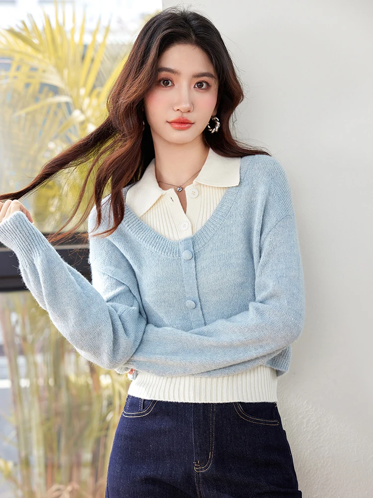 Gentle Knitted Sweater Women Autumn Winter New Lazy Style Soft Long Sleeve Sweaters Fashionable Commuting Tops
Gentle Knitted Sweater Women Autumn Winter New Lazy Style Soft Long Sleeve Sweaters Fashionable Commuting Tops