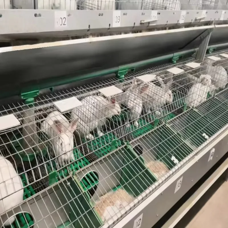 Competitive Price Hot Sale Wire Metal Breeding Rabbit Cage With Feeder
Competitive Price Hot Sale Wire Metal Breeding Rabbit Cage With Feeder