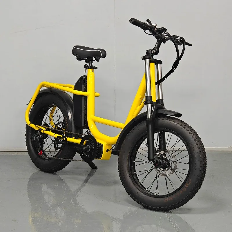 20 inch thick tire electric bike for snow electric bike with pedal assist
20 inch thick tire electric bike for snow electric bike with pedal assist