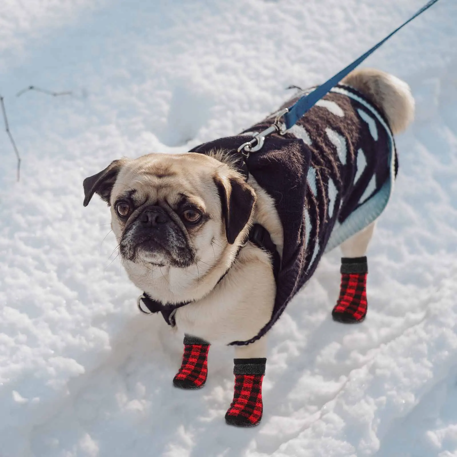 4 Pcs Pet Socks Dog Paw Protection Anti Slip Christmas Theme Keep Warm Durable Material Stylish Design Floor Pet
4 Pcs Pet Socks Dog Paw Protection Anti Slip Christmas Theme Keep Warm Durable Material Stylish Design Floor Pet