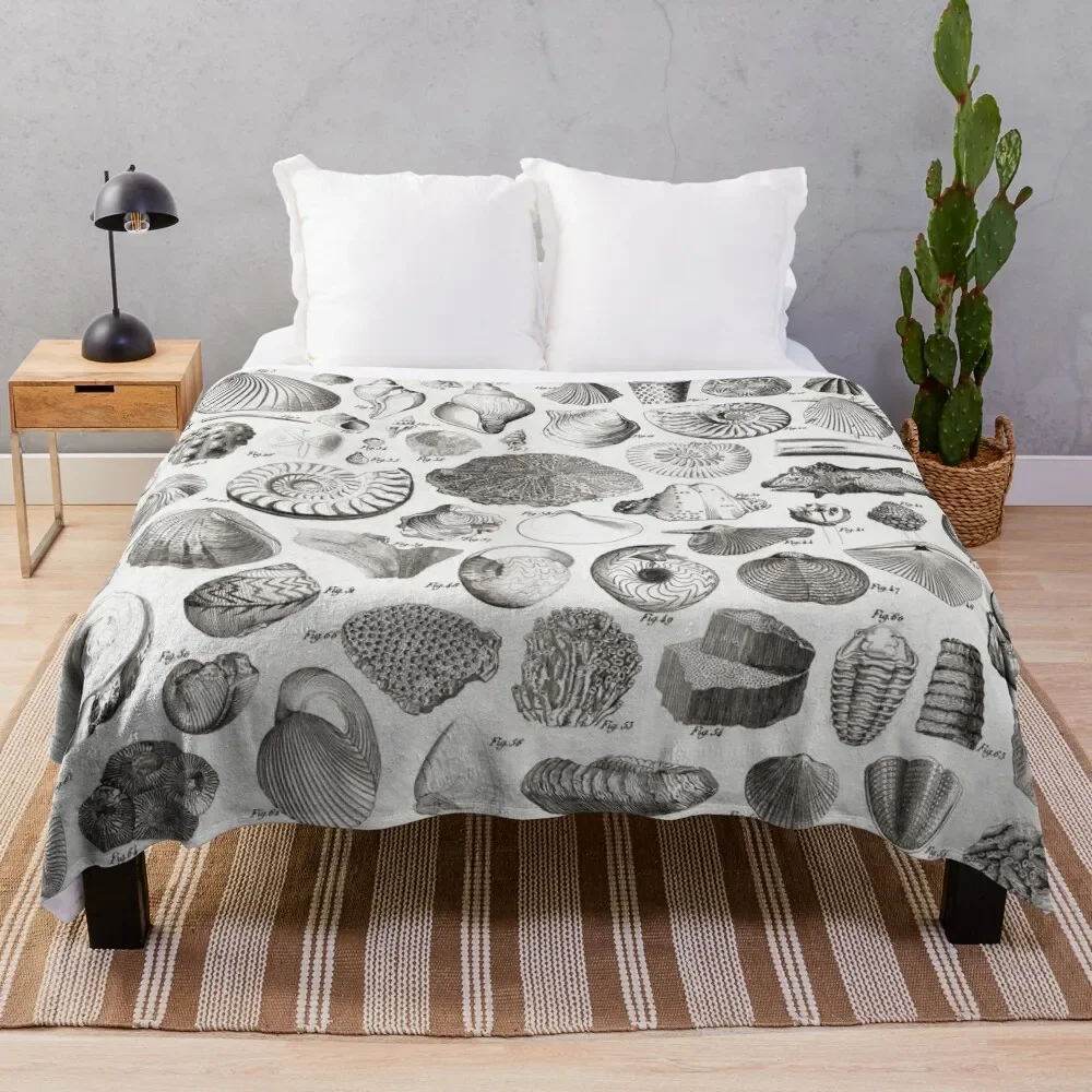1857 Diagram Paleontology: Fossils Throw Blanket Blankets Sofas Of Decoration Heavy Blankets
1857 Diagram Paleontology: Fossils Throw Blanket Blankets Sofas Of Decoration Heavy Blankets