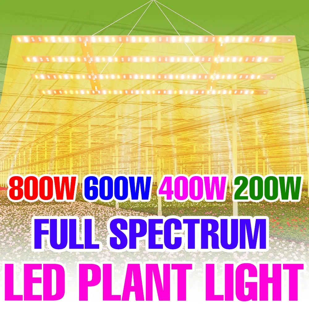 800W LED Grow Lamp Full Spectrum Planting Panel Fill Light Greenhouse Tent Hydroponic Succulent Vegs Seedings Cultivate Lighting
800W LED Grow Lamp Full Spectrum Planting Panel Fill Light Greenhouse Tent Hydroponic Succulent Vegs Seedings Cultivate Lighting