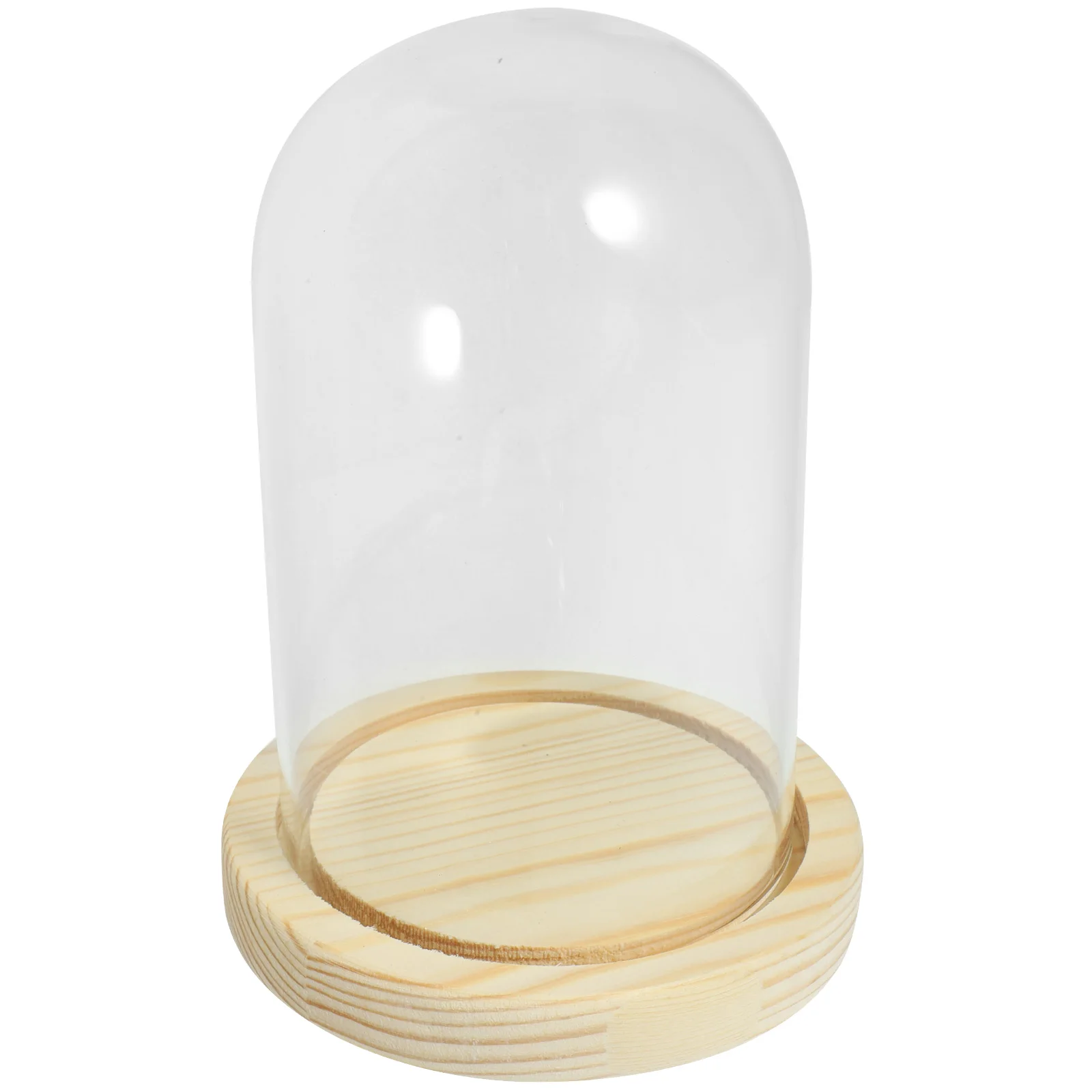 Glass Dome Display Case with Base 9x15cm for Flowers Home Office Plant Storage Vase Glass Cover
Glass Dome Display Case with Base 9x15cm for Flowers Home Office Plant Storage Vase Glass Cover