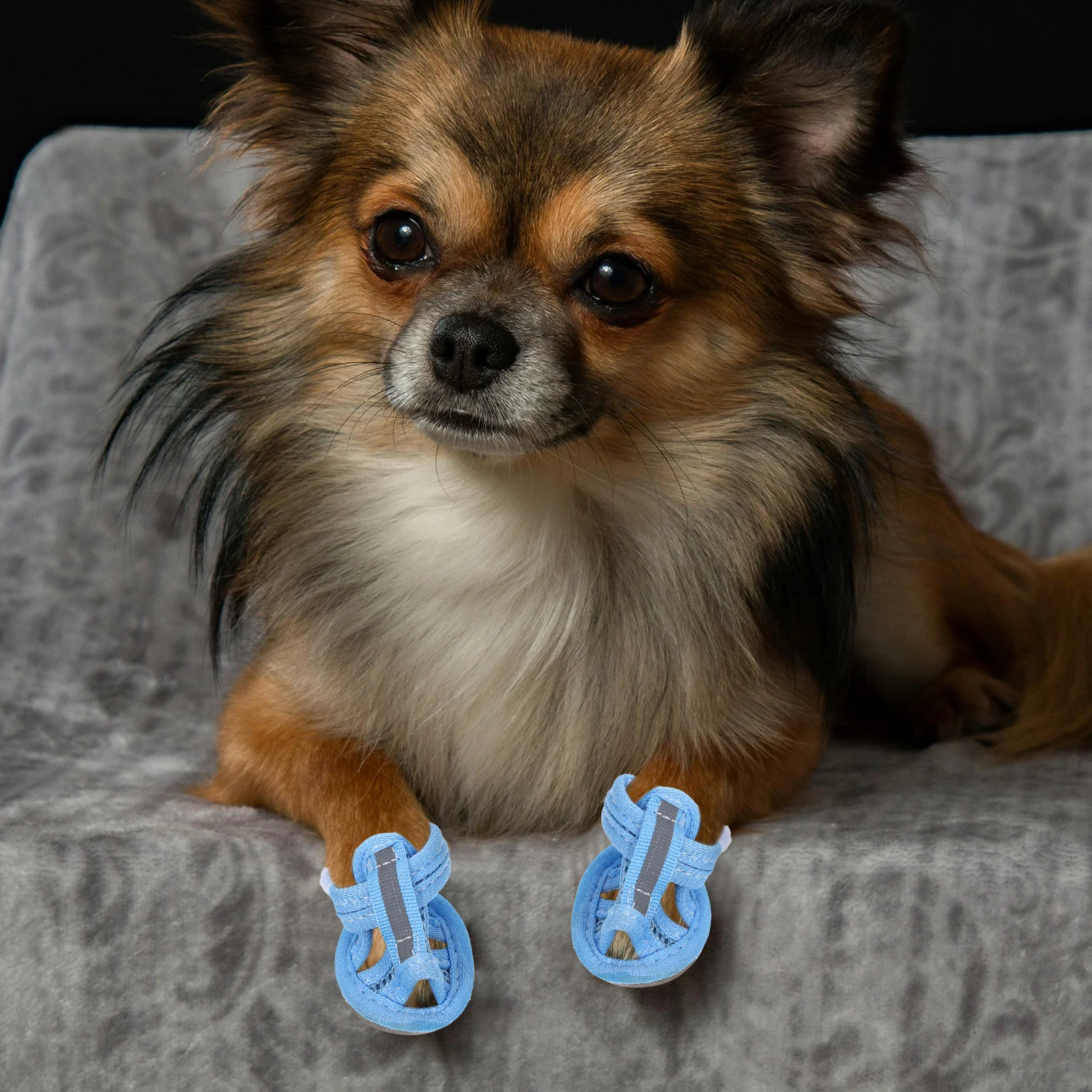 4 Pcs Dog Shoes Breathable Mesh Pet Sandals for Summer Paw Protection Flexible Sole Small Dogs Beach Pavement Deck
4 Pcs Dog Shoes Breathable Mesh Pet Sandals for Summer Paw Protection Flexible Sole Small Dogs Beach Pavement Deck