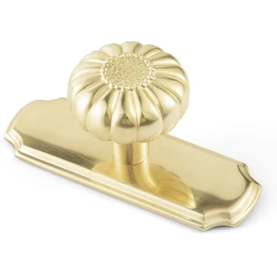 Cabinet with Backplate Solid Pumpkin Drawer Pull for Kitchen and Vanity 2 Pack
Cabinet with Backplate Solid Pumpkin Drawer Pull for Kitchen and Vanity 2 Pack