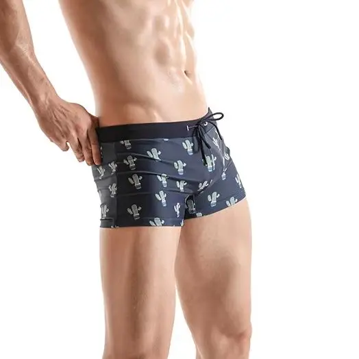 Модные нейлоновые модные трусы-боксеры с принтом кактуса, пляжные быстросохнущие внешнеторговые трусы, трансграничные плавки D0202
Модные нейлоновые модные трусы-боксеры с принтом кактуса, пляжные быстросохнущие внешнеторговые трусы, трансграничные плавки D0202