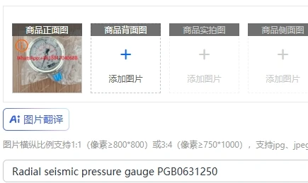 Radial seismic pressure gauge PGB0631250
Radial seismic pressure gauge PGB0631250